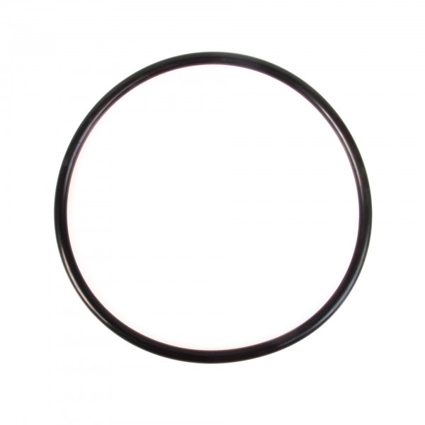 O-Ring P190