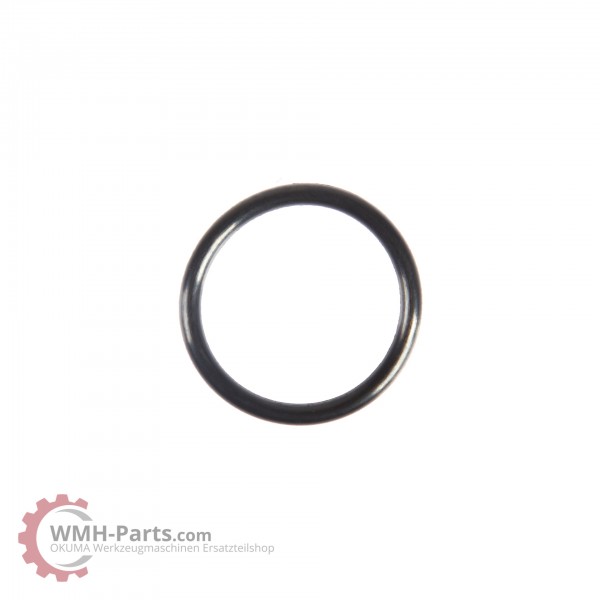O-Ring P22