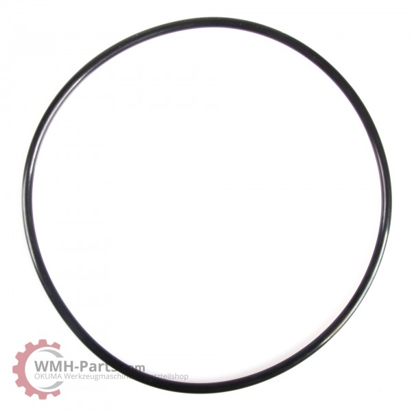 O-Ring G185