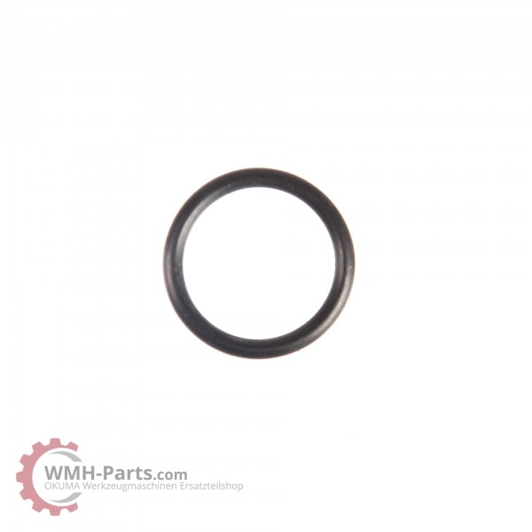 O-Ring P18