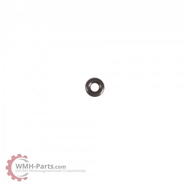 O-Ring P3