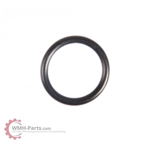 O-Ring P24