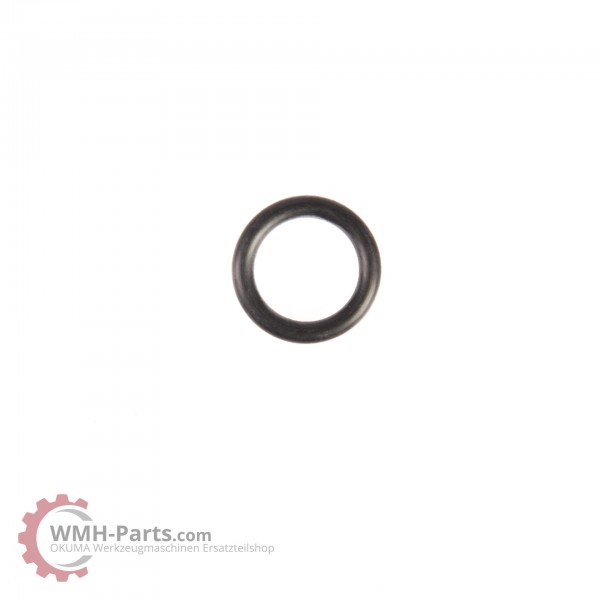 O-Ring P11