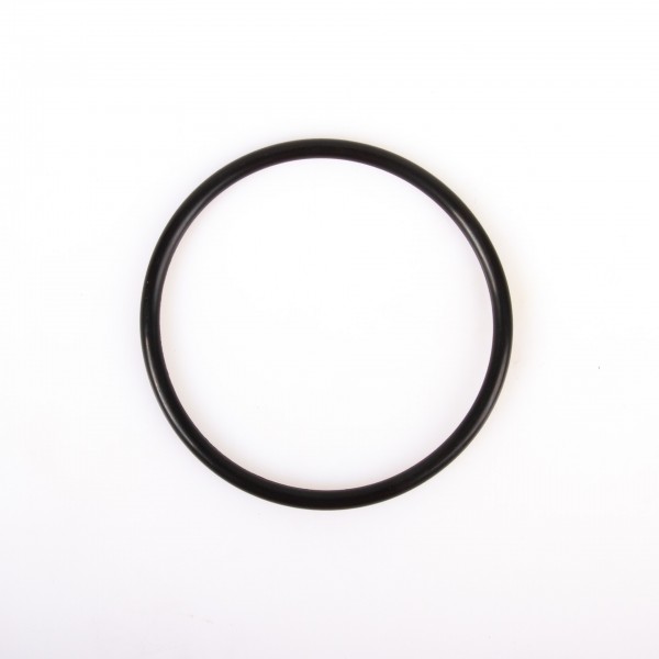 O-Ring P95