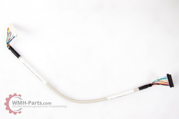 LVDS-Kabel 12" SAK-KAB-JILI30-TXLD07