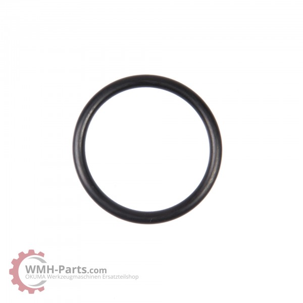 O-Ring G30