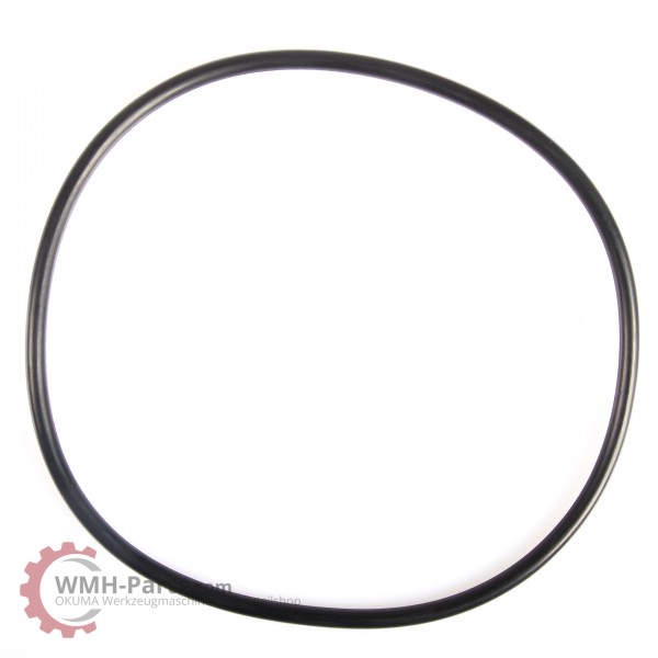 O-Ring G160