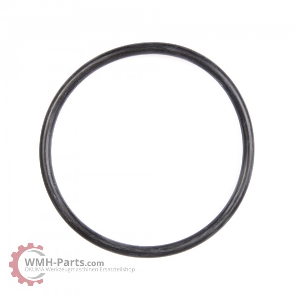 O-Ring P90
