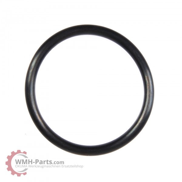 O-Ring P60