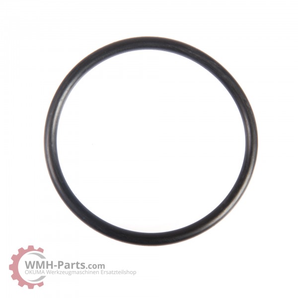 O-Ring G45