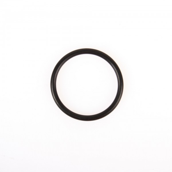 O-Ring P38