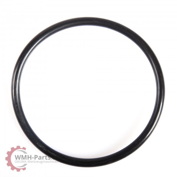 O-Ring P85