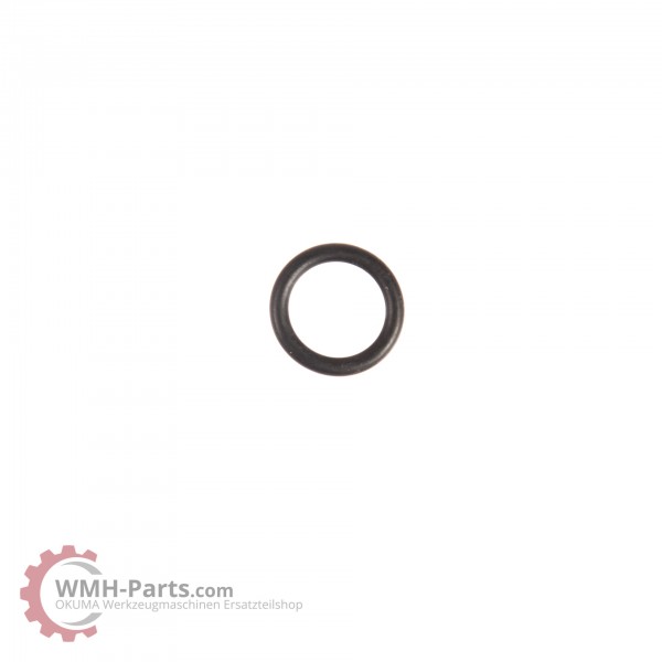 O-Ring P10