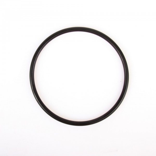 O-Ring P110