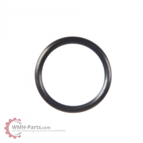 O-Ring P29