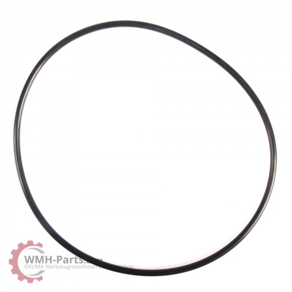O-Ring G205