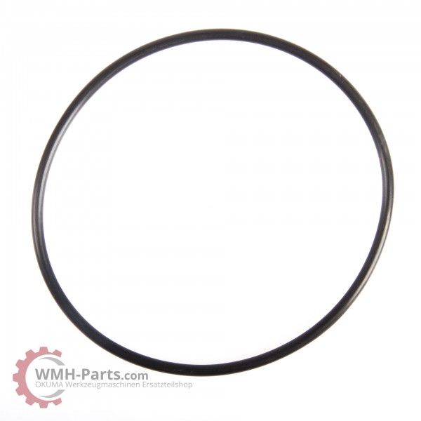 O-Ring G85