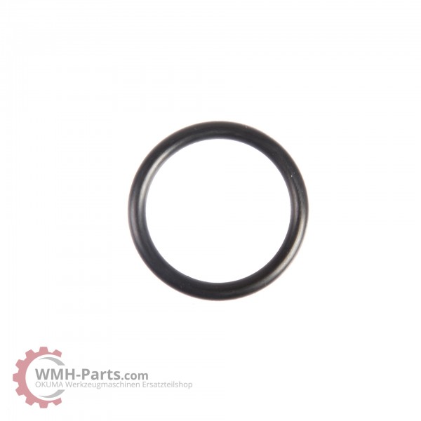 O-Ring G25